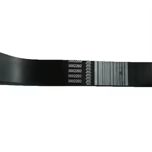 Correia para Motor Cummins K19 Gerador 3002202