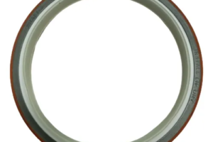 Retentor Traseiro para Motor Cummins Série C 4089342